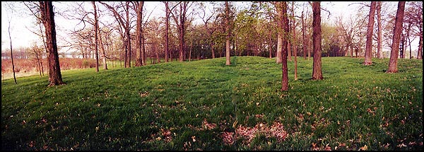 Enclosure Mound from the East - Spring