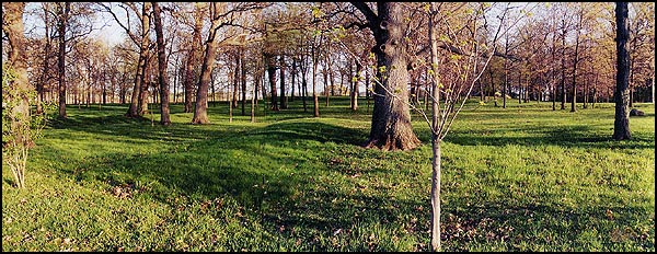 Linear Mounds From the North - Spring