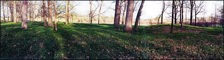 Enclosure Mound from the North - Spring