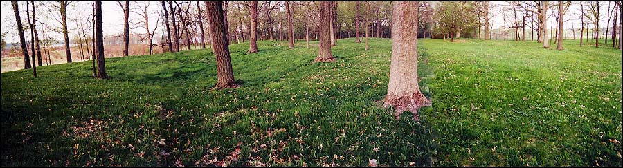 Enclosure Mound from the East - Spring