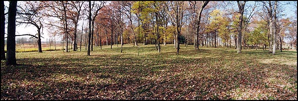 Enclosure Mound from East - Fall